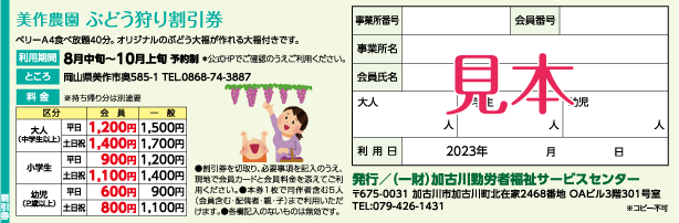割引券見本