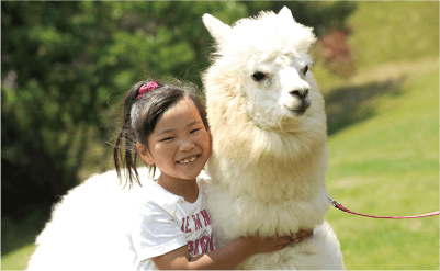神崎農村公園 ヨーデルの森