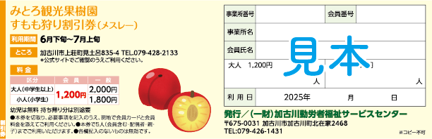 みとろ観光果樹園｜すもも狩り割引券（メスレー）割引券（見本）
