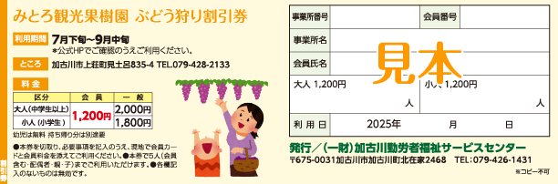 みとろ観光果樹園 ぶどう狩り割引券（見本）