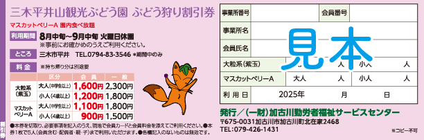 割引券見本