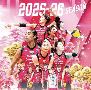 2025-26 大同生命SV.LEAGUE WOMAN ヴィクトリーナ姫路 観戦チケット