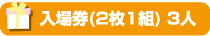 入場券(2枚1組) 3人