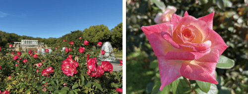 神戸市立須磨離宮公園