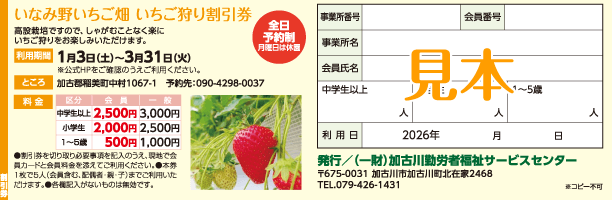 いなみ野いちご畑