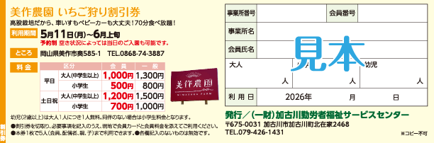 割引券見本