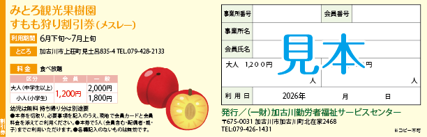 みとろ観光果樹園｜すもも狩り割引券（メスレー）割引券（見本）