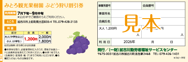 みとろ観光果樹園 ぶどう狩り割引券（見本）