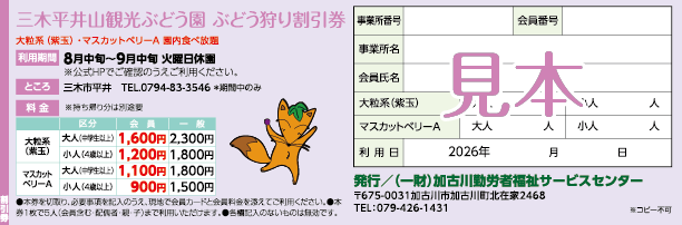 割引券見本
