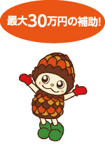 最大30万円の補助！